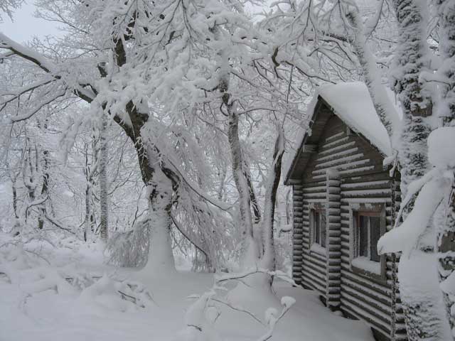 （写真）山小屋