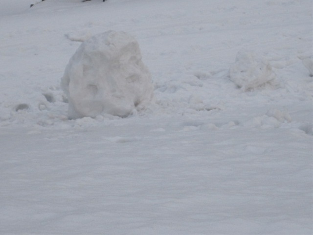 （写真）大きな雪玉