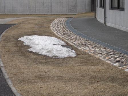 （写真）センター裏の雪