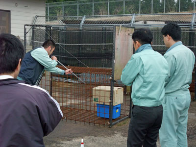 （写真）鳥獣スタッフ研修２