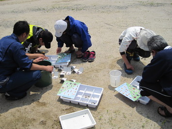 （写真）識別中