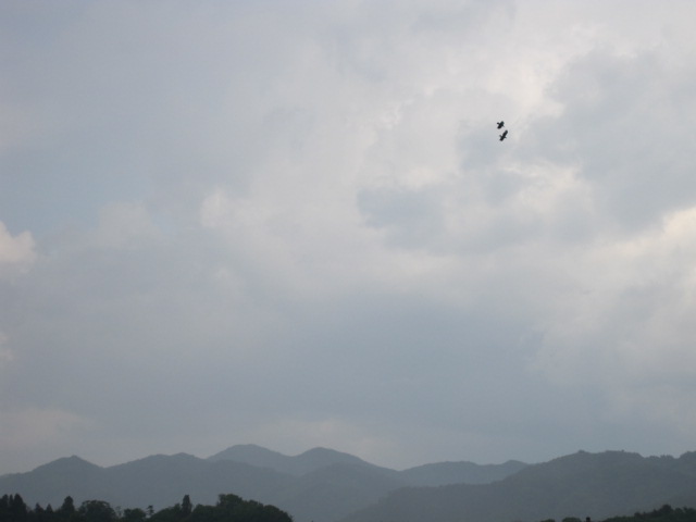 （写真）怪しい空色