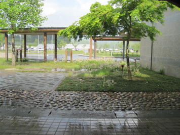 （写真）雨が降っています