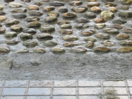 （写真）水たまり