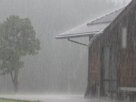 （写真）雨２