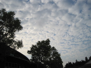（写真）うろこ雲