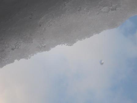 （写真）たまった雪もぽたぽた汗を流しています