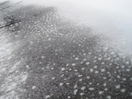 （写真）水玉模様