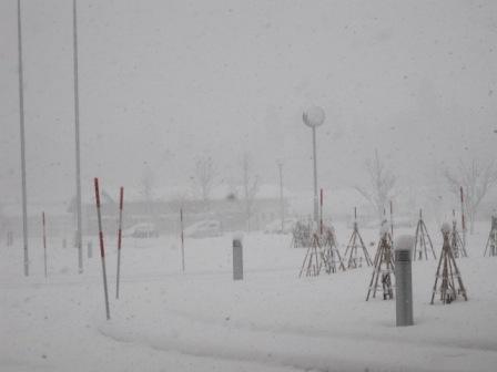 （写真）ときおり吹雪いています２