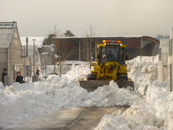 （写真）業者さんの除雪機