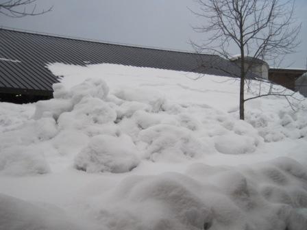 （写真）ゴロゴロした雪２