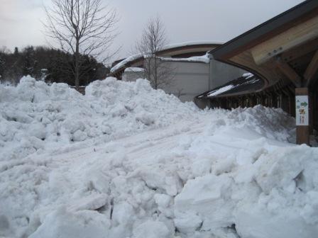 （写真）大移動した雪山