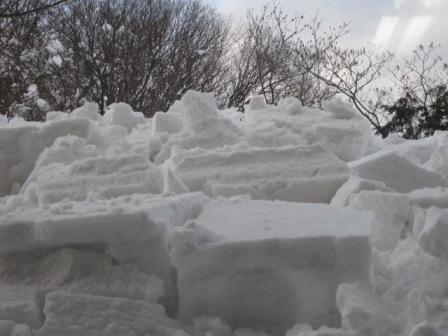 （写真）落ちた雪