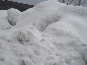 （写真）かまくらができそうな雪山