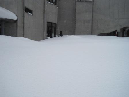 （写真）まるで雪の海！