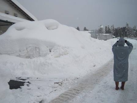 （写真）カエルに見える雪山