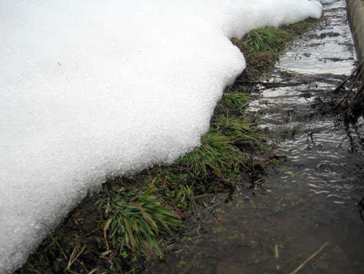 （写真）雪どけ水