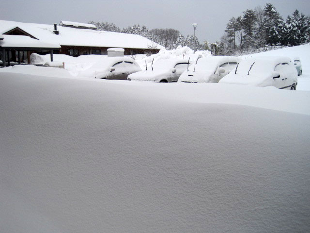 （写真）粉砂糖のような雪