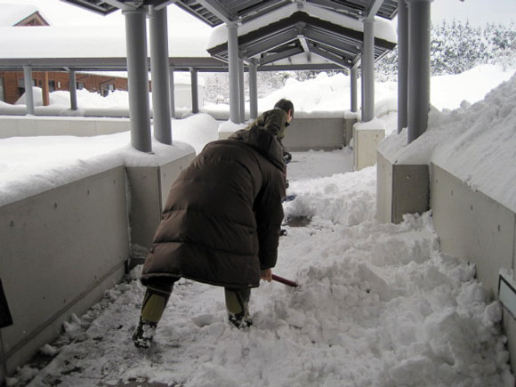 （写真）雪かきをする職員さん
