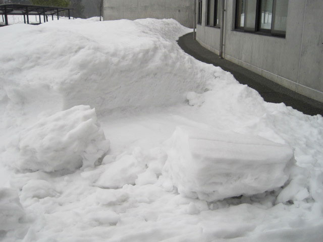 （写真）屋根の雪が塊で落ちています