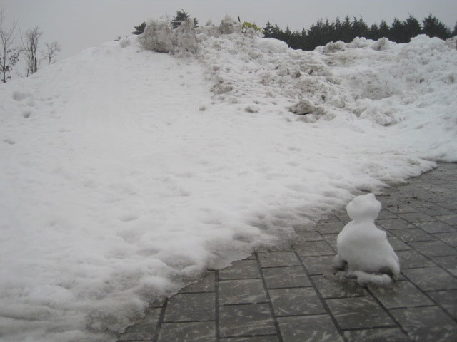 （写真）小さな雪だるま