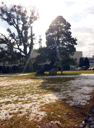 （写真）残雪