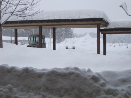 （写真）約60cmの積雪
