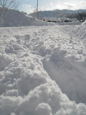 （写真）雪