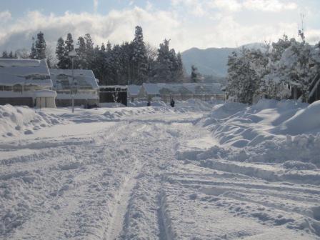 （写真）ハウスのまわりも雪だらけ