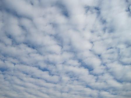 （写真）うろこ雲