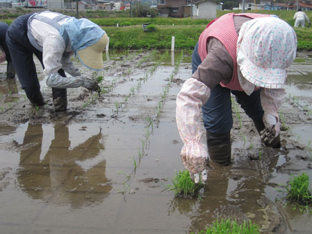 （写真）慣れている方は早いです