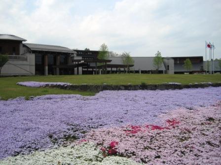 （写真）センターの芝桜