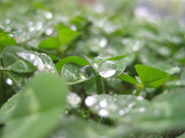 （写真）今日も雨