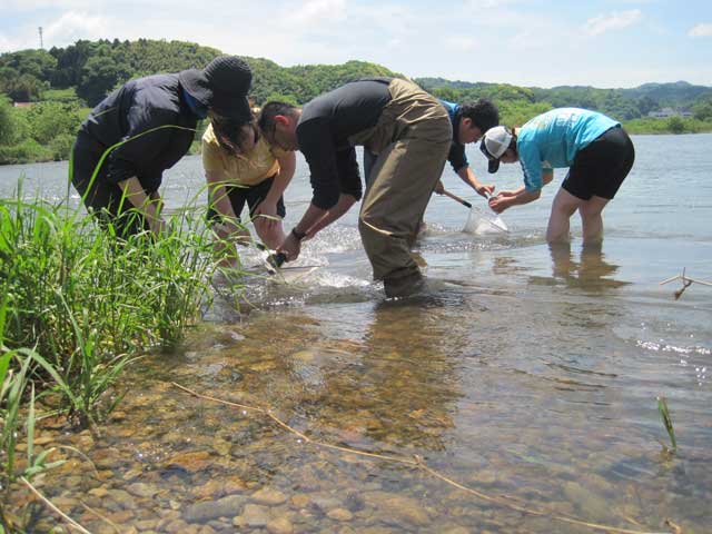 （写真）水生昆虫採集