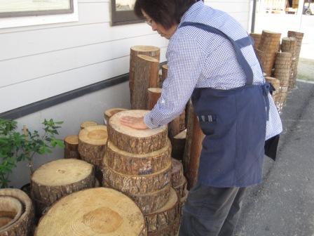 （写真）輪切りとなった木がいっぱい！