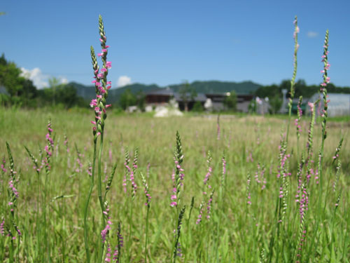 （写真）センター敷地内