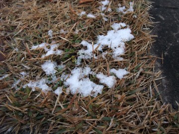 （写真）残雪