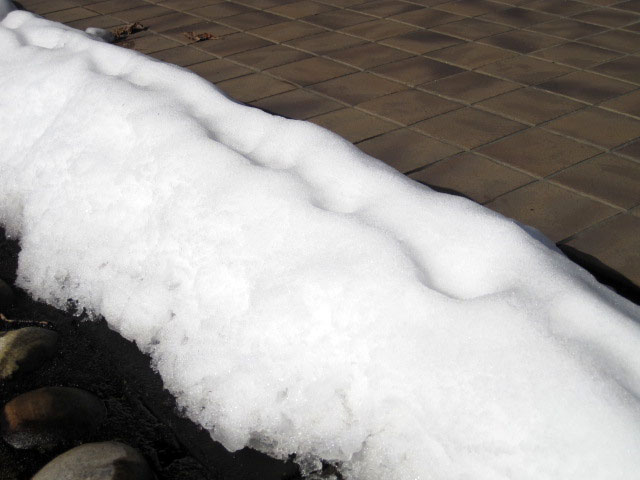 （写真）残雪