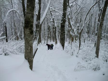 （写真）初雪大万木山トレッキング