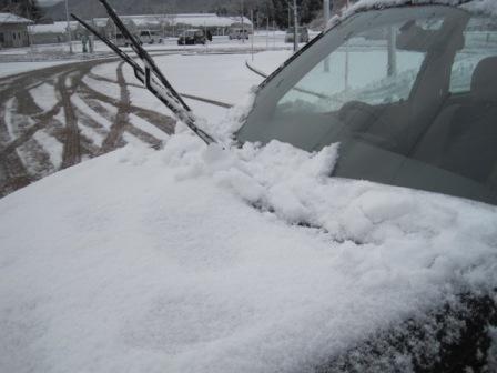 （写真）雪