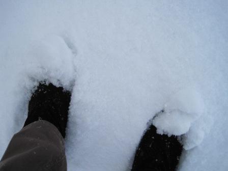 （写真）長靴でなくても大丈夫くらいの積雪