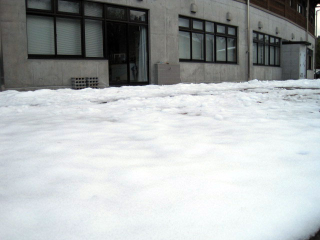 （写真）センターの裏側の雪の様子