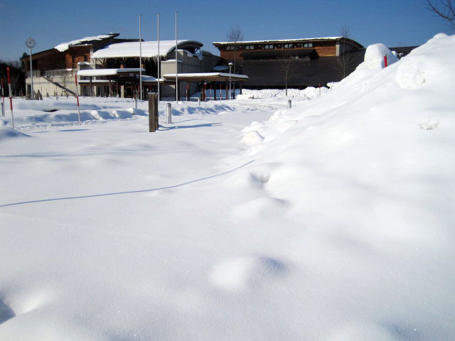 （写真）今日のセンター