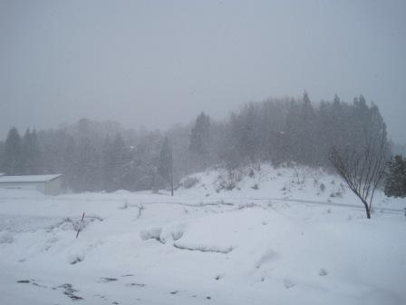 （写真）雪が舞っています