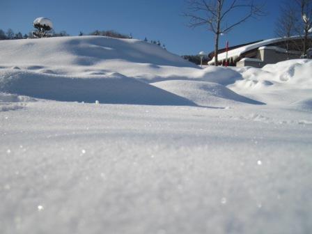 （写真）雪がキラキラ