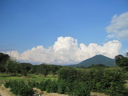 （写真）苗畑から見える琴引山