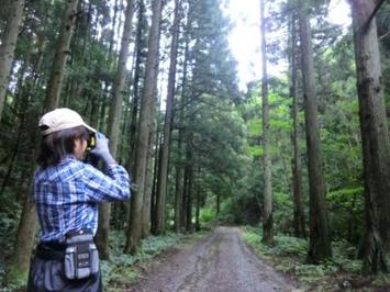 （写真）樹高測定