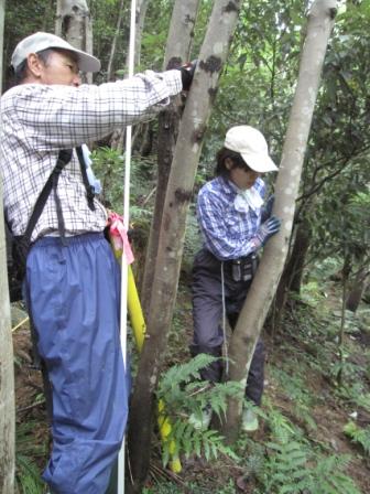 （写真）測定中