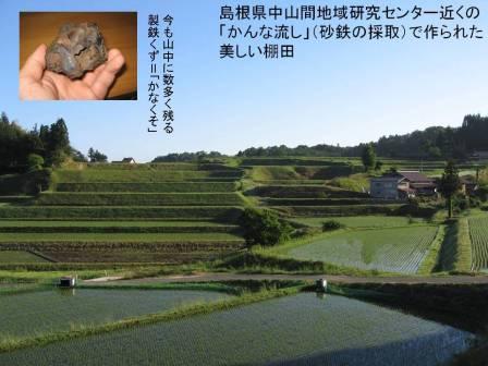 （写真）美しい棚田