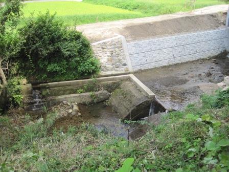 （写真）水路整備中